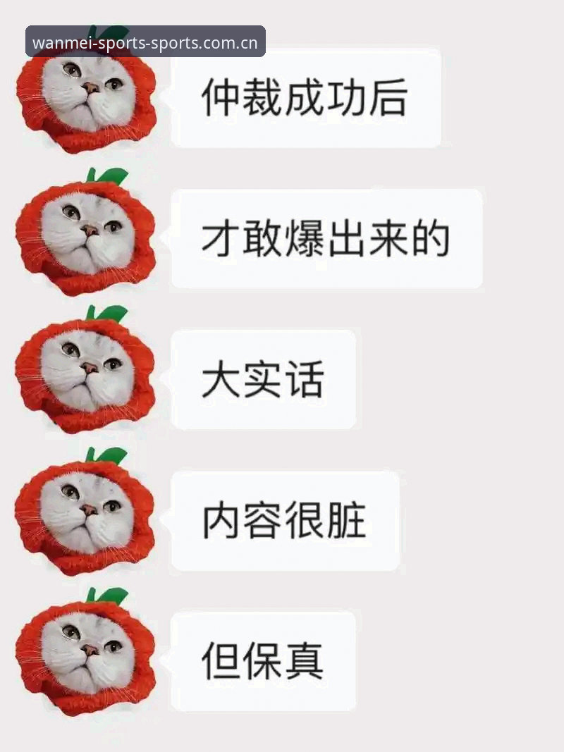 揭秘完美体育新版APP登录入口背后的那些门道，圈内人说的都是大实话